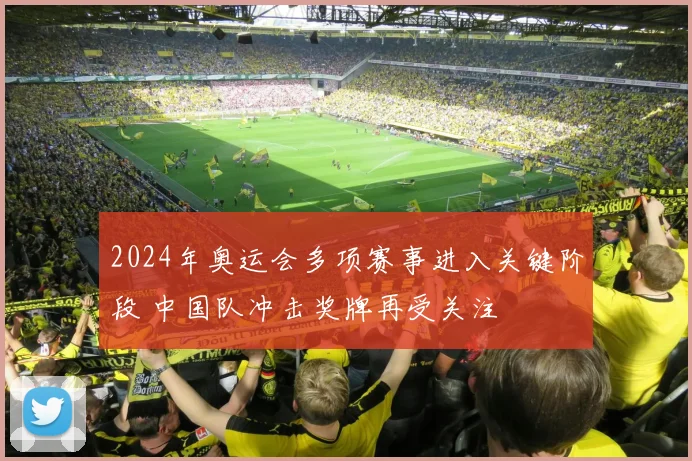 2024年奥运会多项赛事进入关键阶段 中国队冲击奖牌再受关注